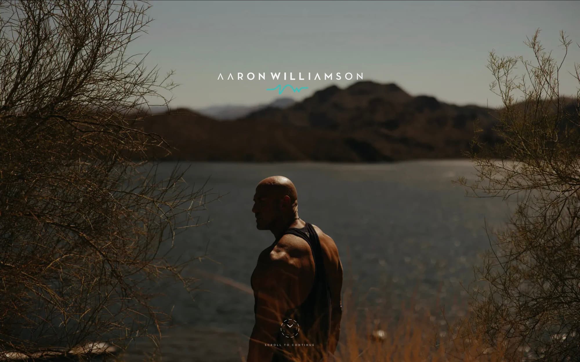 Aaron Williamson, website by 28th & Vine
